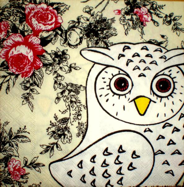 075 Owls - 3-ply (cream) - Click / Ihr - CS